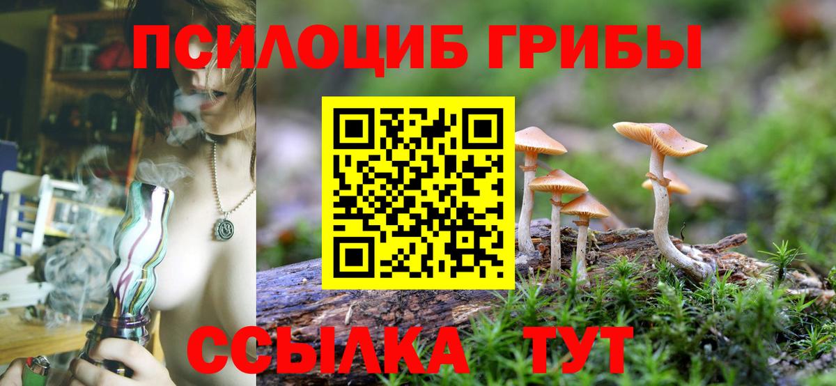 Зеленокумск  Галлюциногенные грибы MAGIC MUSHROOMS  Вход с VPN 